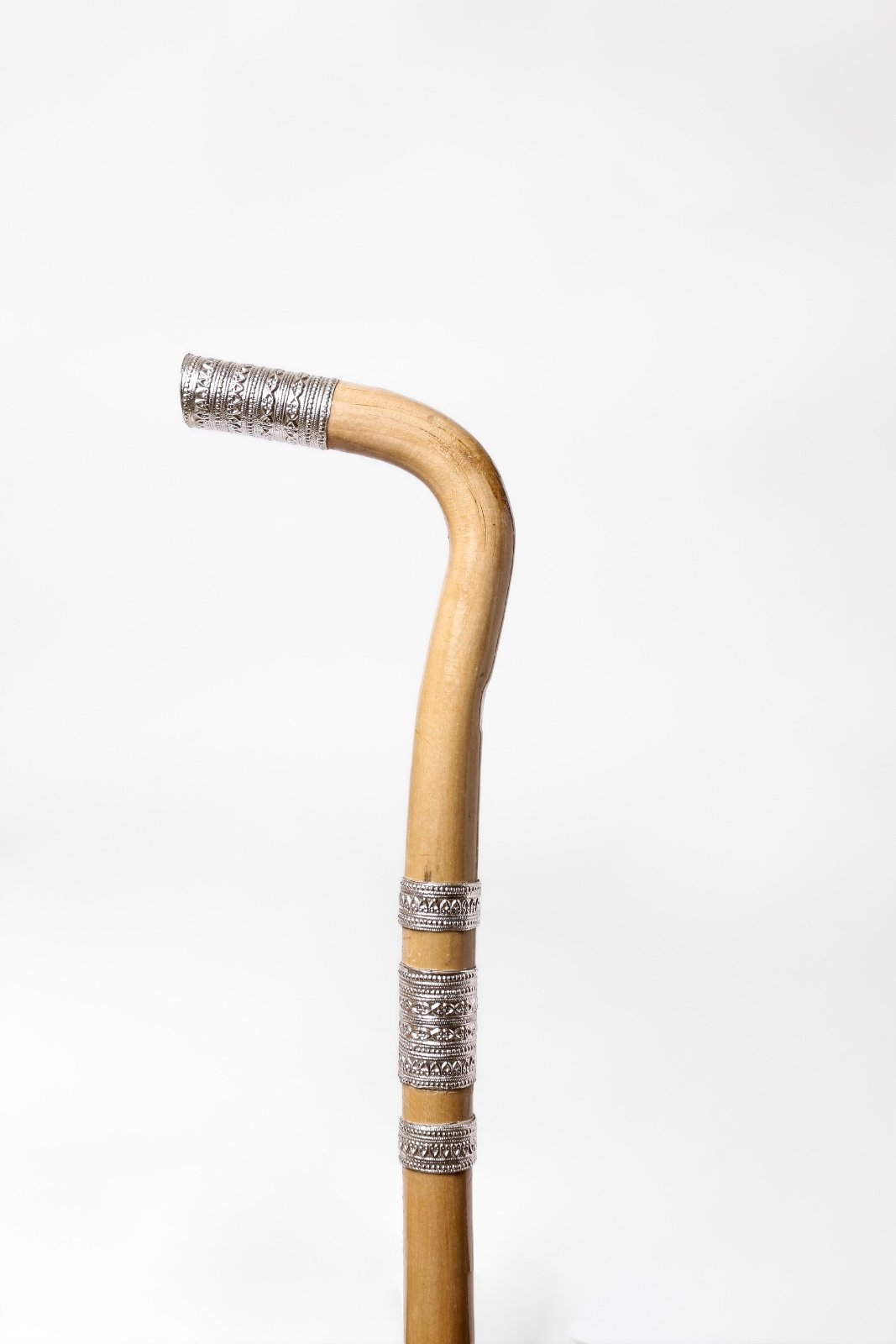 عصا العتم العماني (الجبل الاخضر)