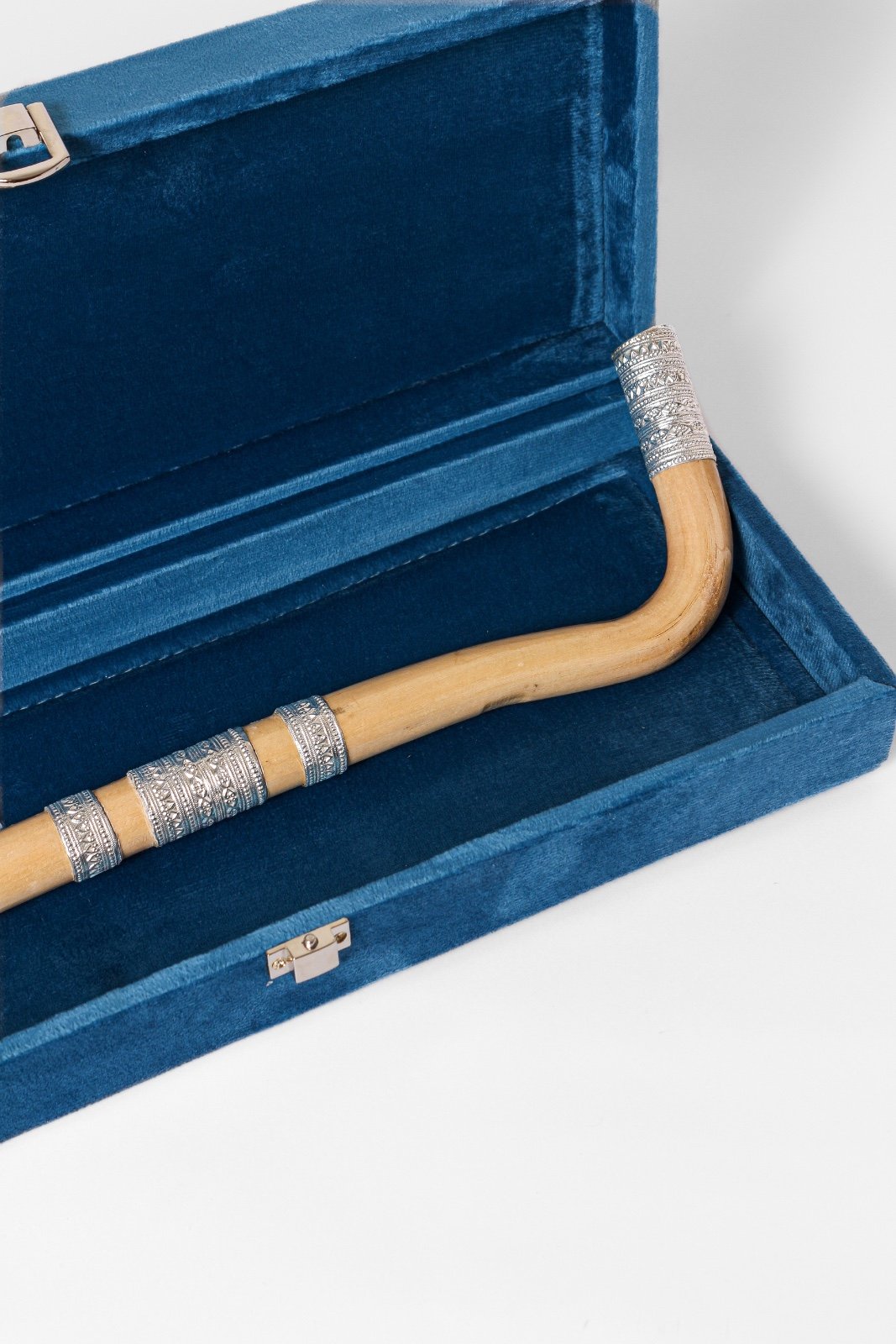 عصا العتم العماني (الجبل الاخضر)